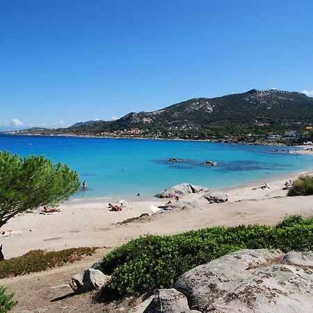 L'Orangeraie Calvi Centre A 300M De La Plage Et Du Port Parking Prive Exteriör bild