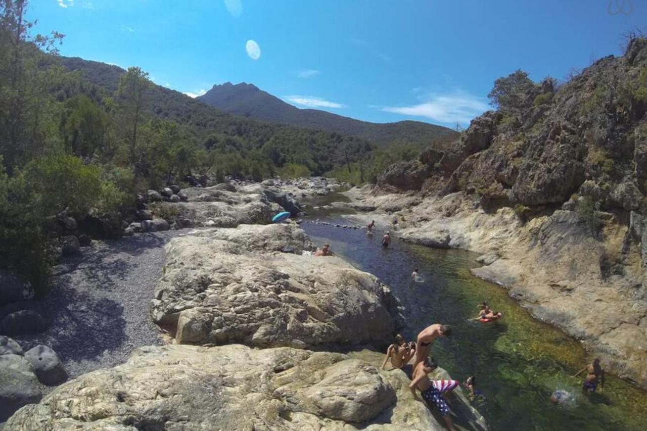 L'Orangeraie Calvi Centre A 300M De La Plage Et Du Port Parking Prive Exteriör bild