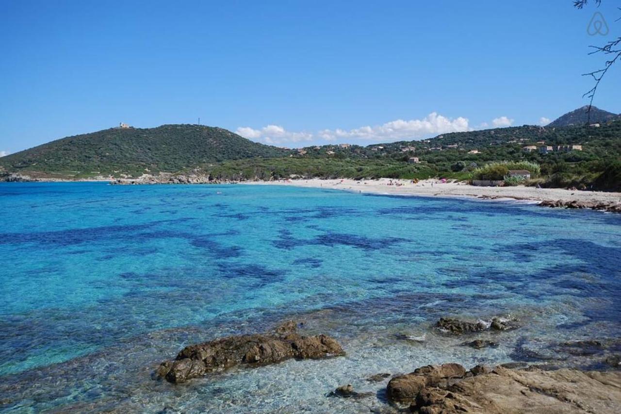 L'Orangeraie Calvi Centre A 300M De La Plage Et Du Port Parking Prive Exteriör bild
