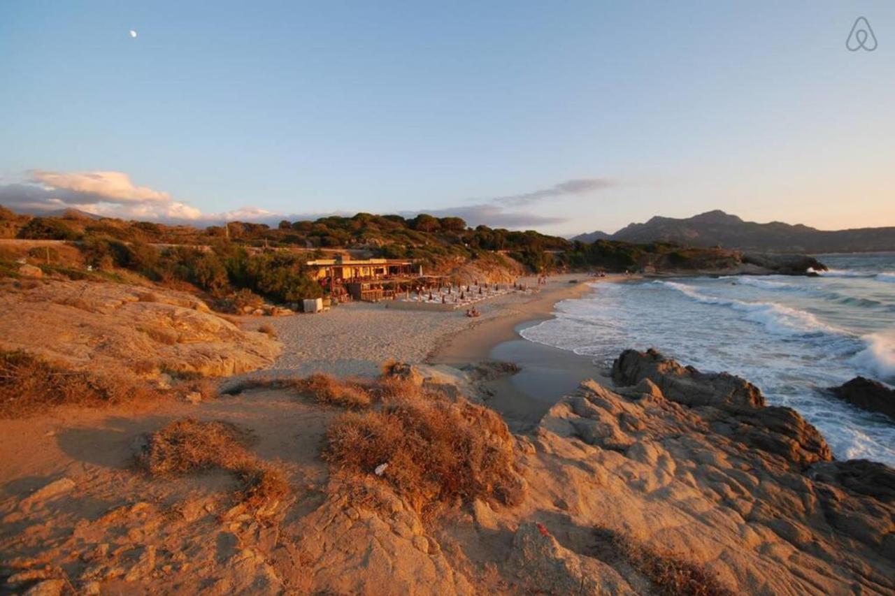 L'Orangeraie Calvi Centre A 300M De La Plage Et Du Port Parking Prive Exteriör bild
