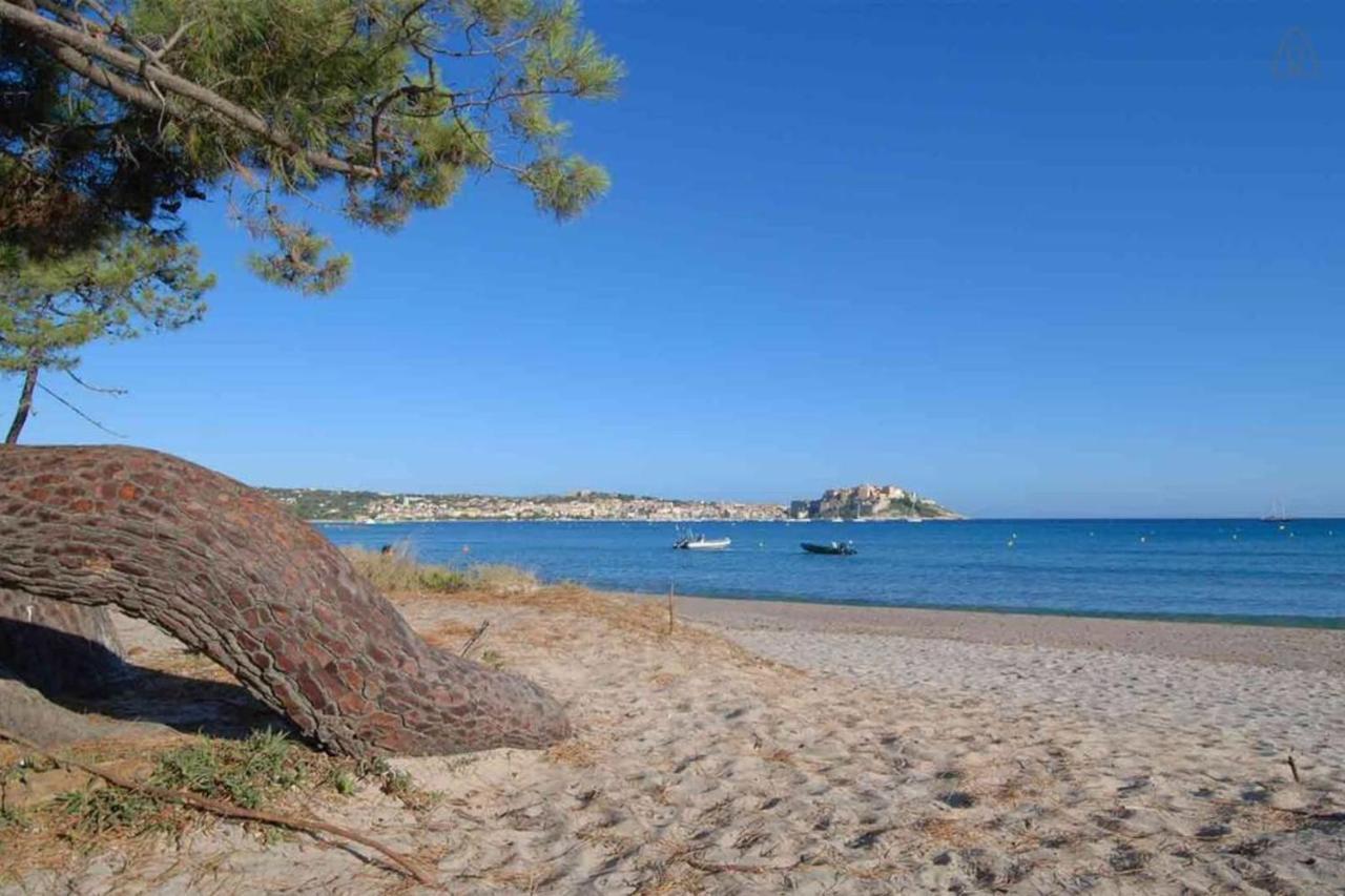 L'Orangeraie Calvi Centre A 300M De La Plage Et Du Port Parking Prive Exteriör bild