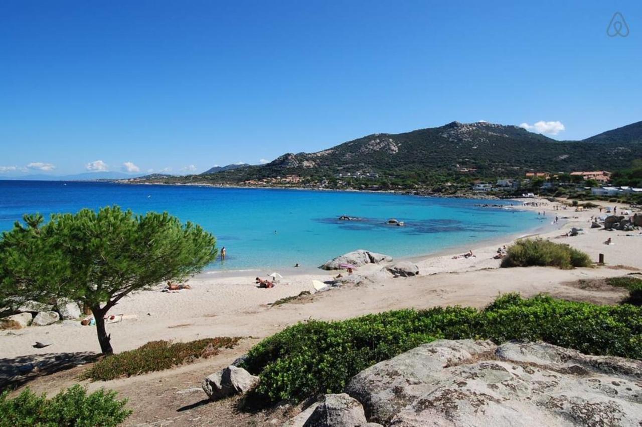 L'Orangeraie Calvi Centre A 300M De La Plage Et Du Port Parking Prive Exteriör bild